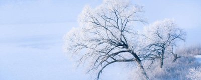 ​雾凇的形成 雾凇的形成是凝固还是凝华