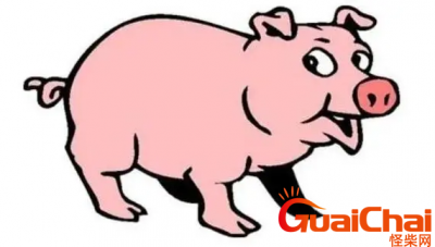 ​脑子最笨的3个生肖是什么？哪些生肖脑子最笨？