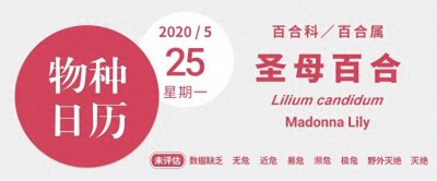 ​祖上在圣经里占C位，如今在花园坐冷板凳